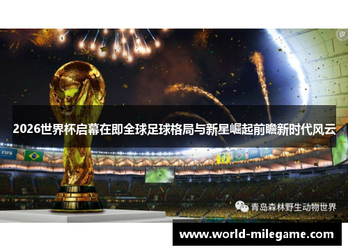 2026世界杯启幕在即全球足球格局与新星崛起前瞻新时代风云